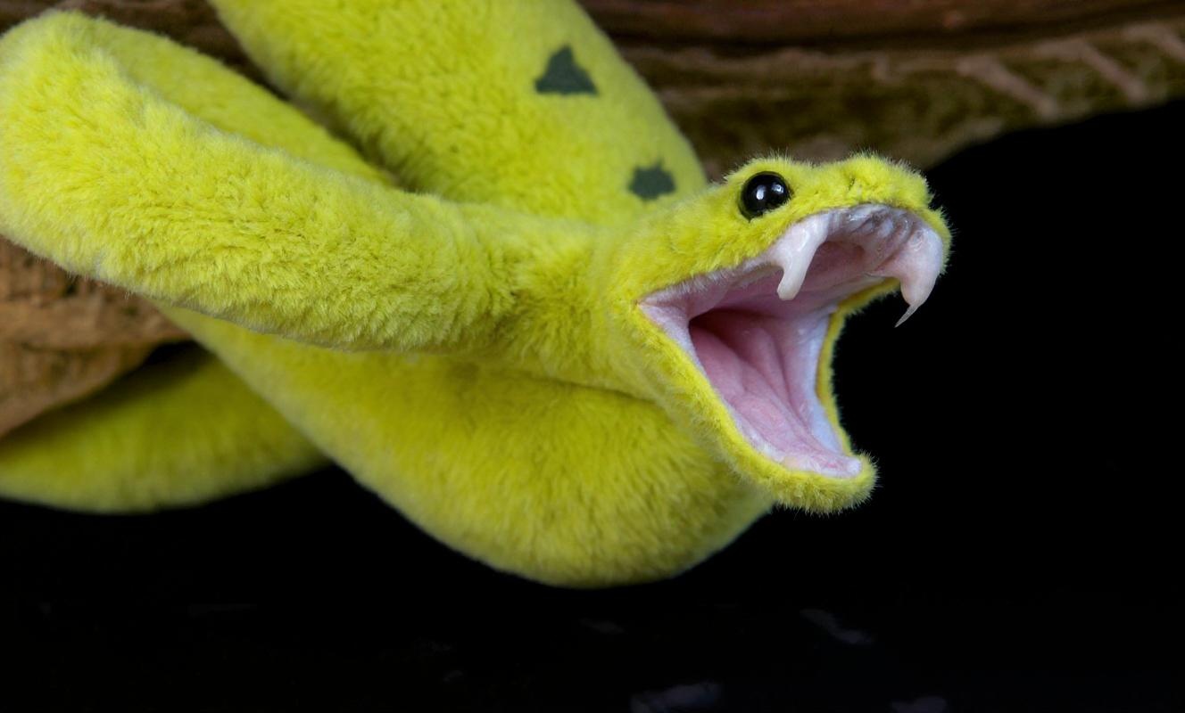 AI Generated Animal Photo